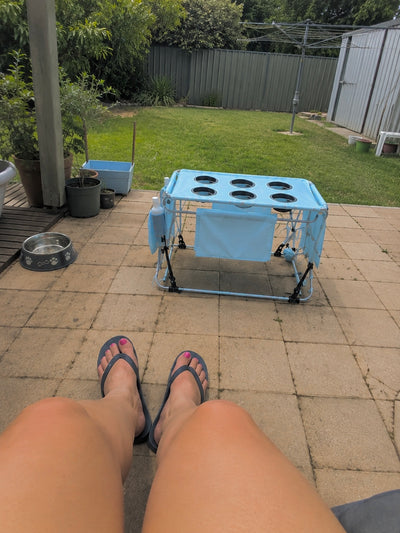 Customer review photo